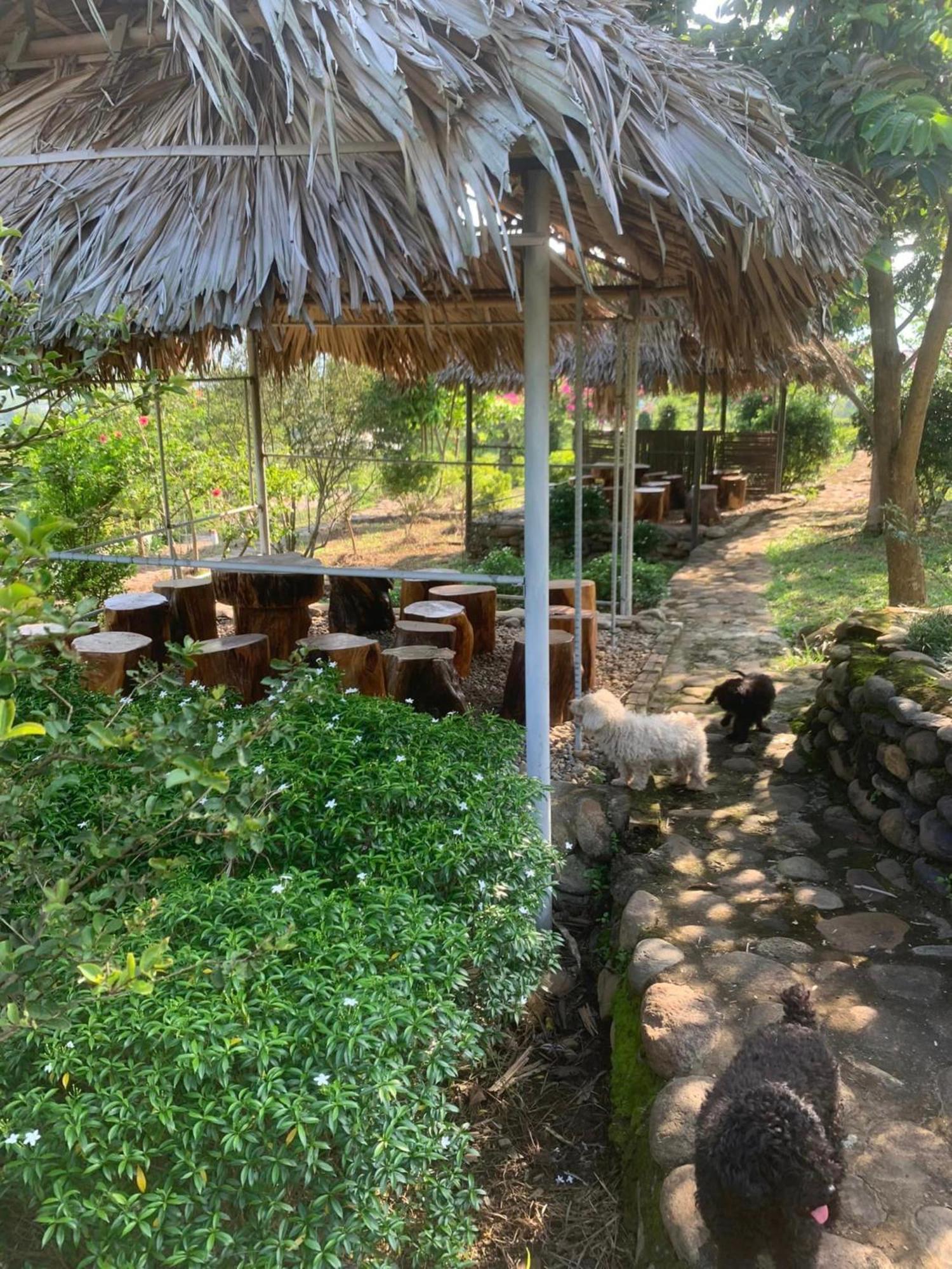 Homestay Nha Cua Mi - Mi'S House Yen Bai Esterno foto
