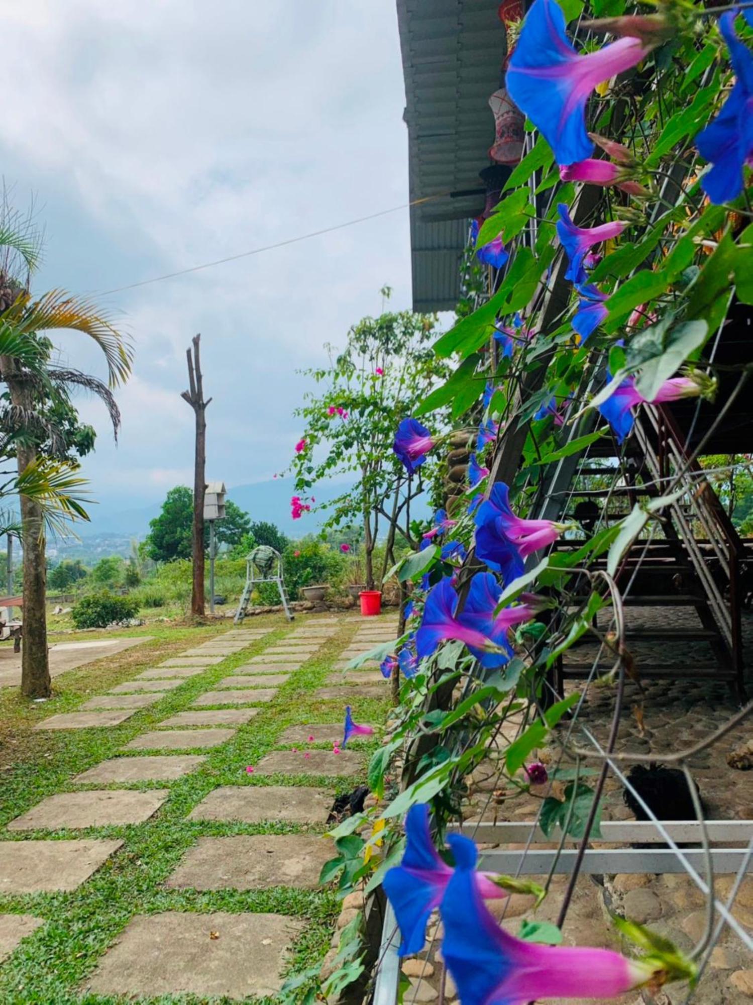 Homestay Nha Cua Mi - Mi'S House Yen Bai Esterno foto