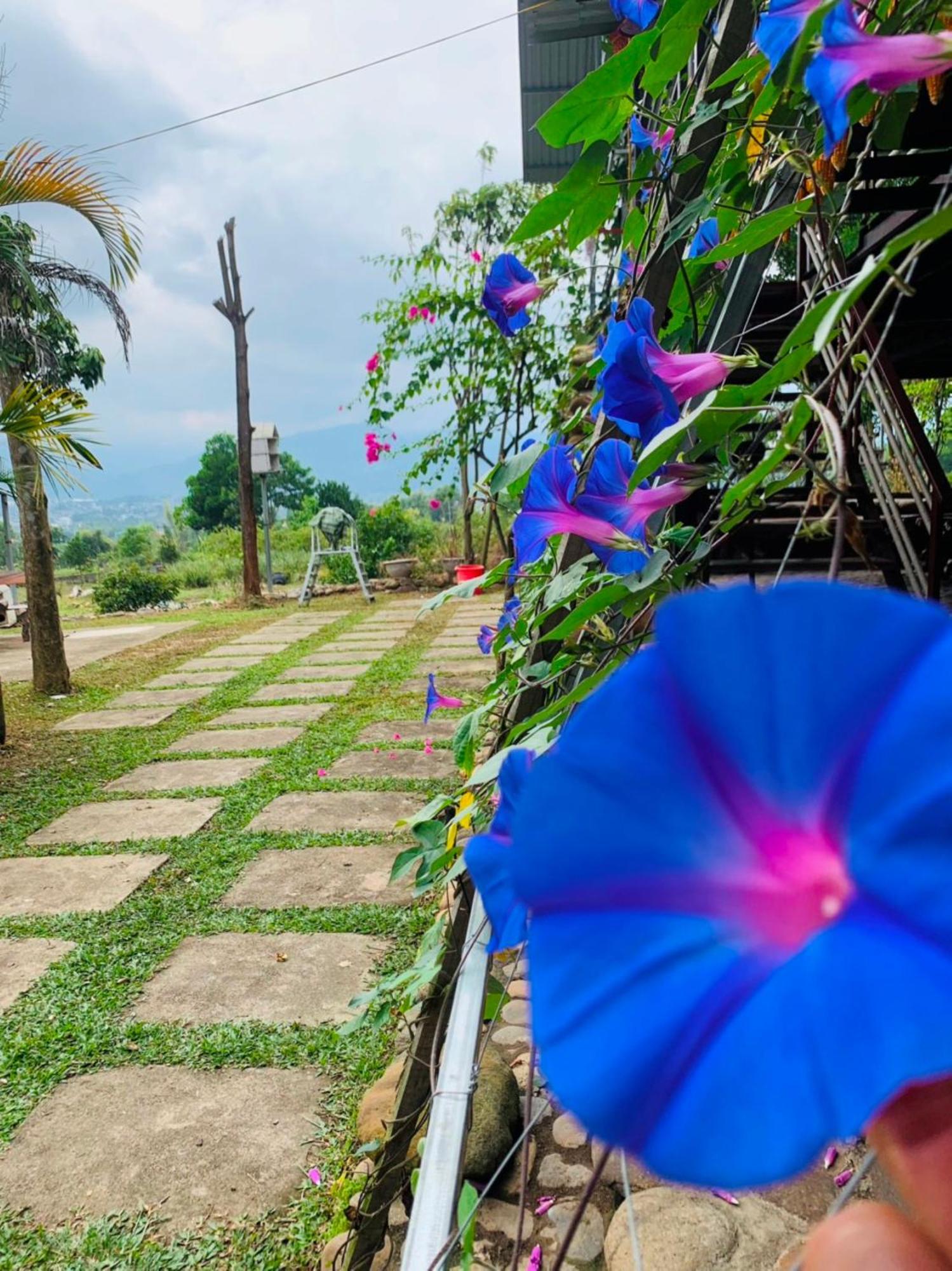 Homestay Nha Cua Mi - Mi'S House Yen Bai Esterno foto